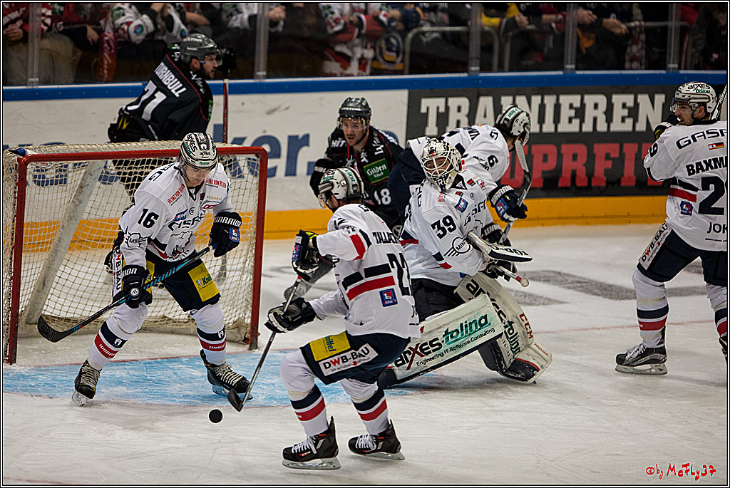 Koelner Haie - Eisbaeren Berlin, 13.11.2016